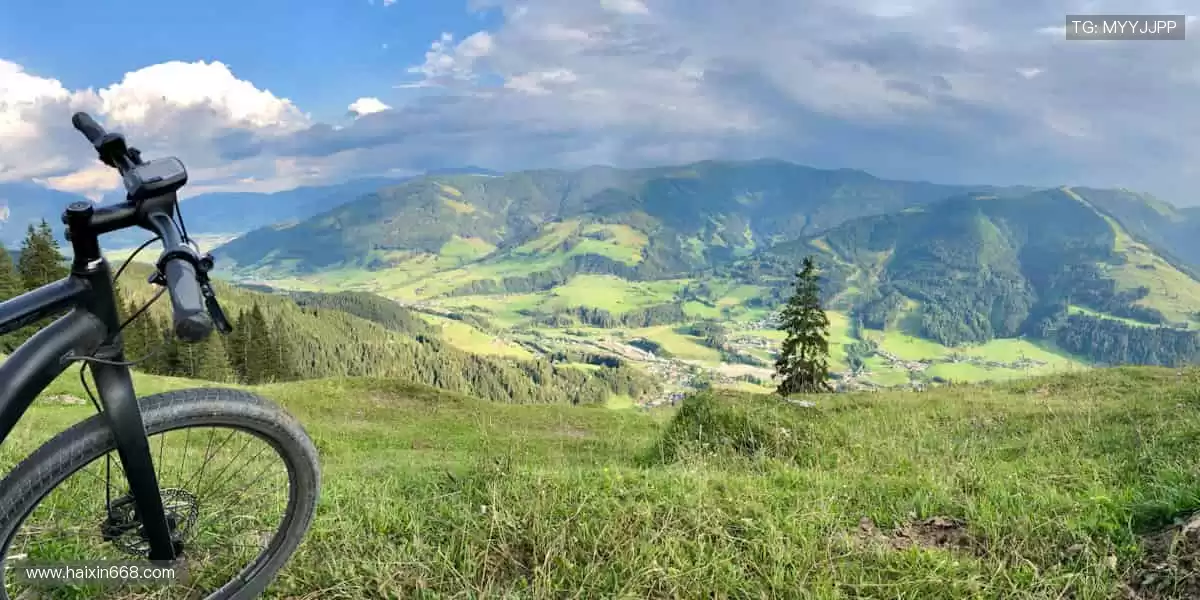 🏀激情赛场，见证冠军诞生时刻！